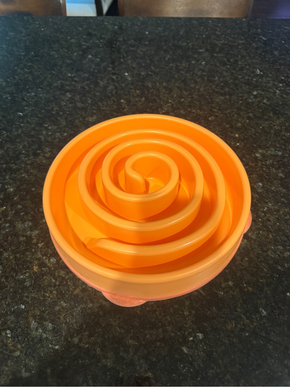 Outward Hound Slow Feeder Dog Bowl